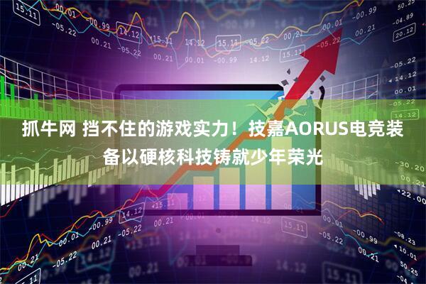 抓牛网 挡不住的游戏实力!技嘉AORUS电竞装备以硬核科技铸就少年荣光