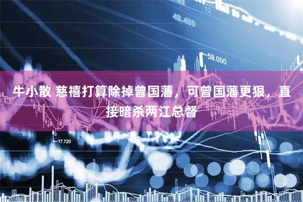 牛小散 慈禧打算除掉曾国藩，可曾国藩更狠，直接暗杀两江总督