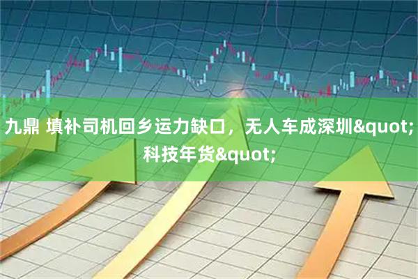 九鼎 填补司机回乡运力缺口,无人车成深圳"科技年货"