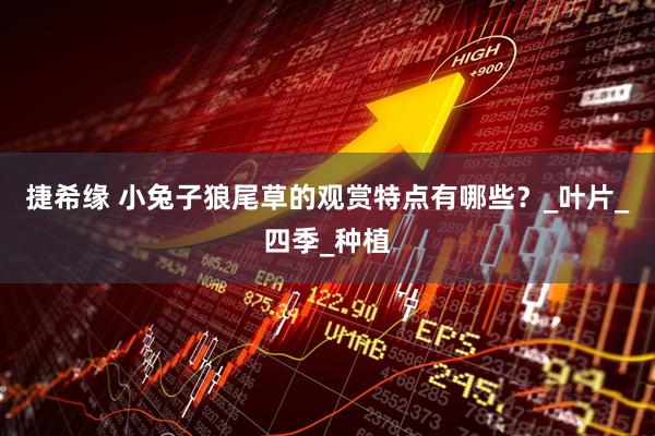 捷希缘 小兔子狼尾草的观赏特点有哪些?_叶片_四季_种植