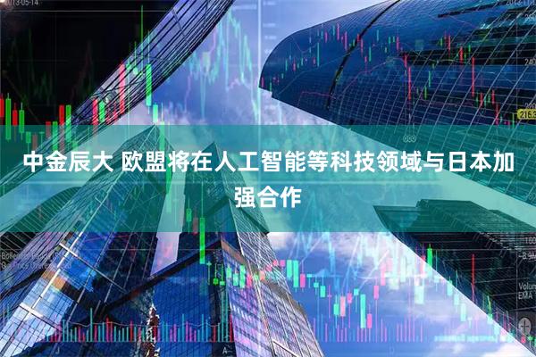 中金辰大 欧盟将在人工智能等科技领域与日本加强合作